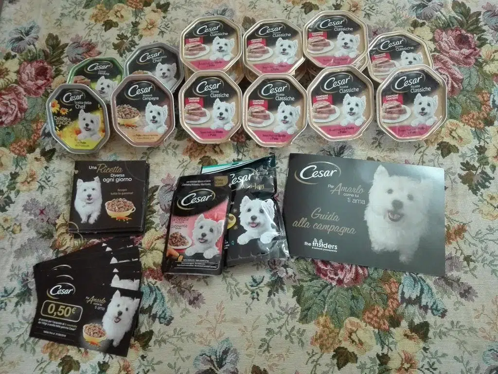 Scatolette per cani Cesar: opinioni