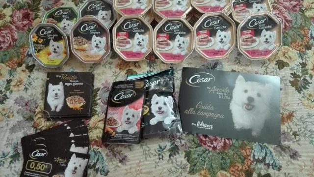 Scatolette per cani Cesar test