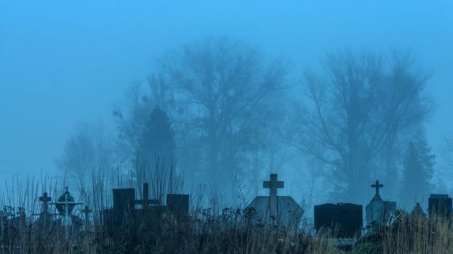 pet sematary film