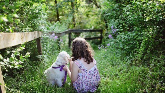 Come costruire un recinto per animali